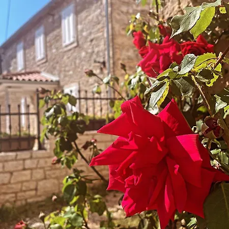 Apartman Spacious Tar-Vabriga