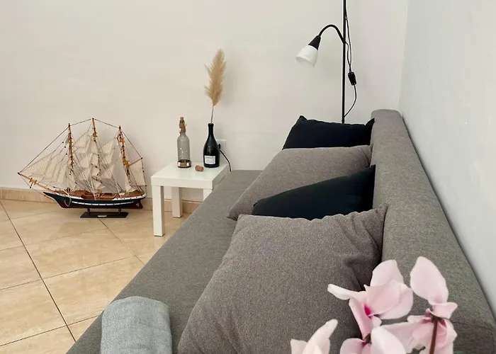 Apartament Spacious *