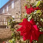 公寓 Spacious Tar-Vabriga