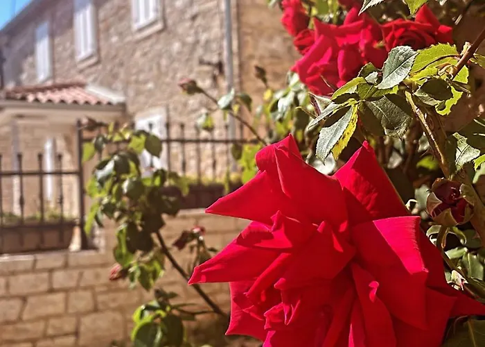 Apartmán Spacious Tar-Vabriga